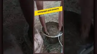 ПЛОЩАДКА ДЛЯ КРИКЕТА 