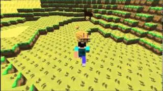 MINECRAFT HORSE!
