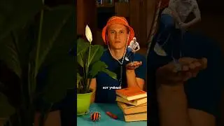 Кот Учёный отвечает на вопрос - кто такой Пердамен? 🚶‍♂️💨