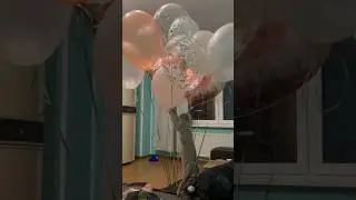 Быть котом хорошо - Кровосток