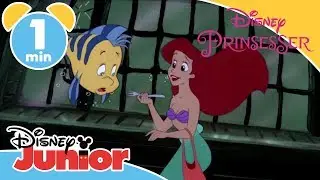 Den lille havfrue | Udforsker skibet ⚓️- Disney Junior Danmark