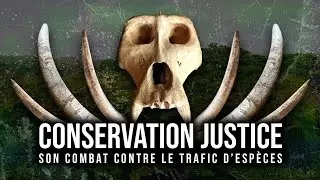 [Documentaire] Cette ONG envoie des TRAFIQUANTS d'ESPÈCES sauvages en PRISON