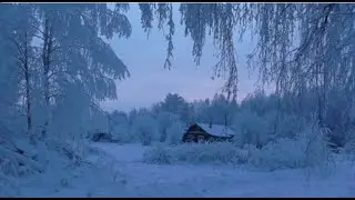 Не спугните зимний сон в деревне