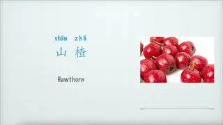 山楂英文怎么说，水果Fruit：Hawthorn