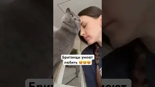Коты не хуже собак!!! И кот Тима, тому доказательство 😻