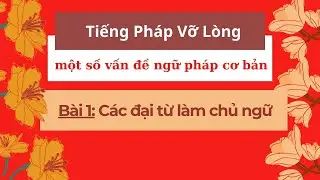 Tiếng Pháp Vỡ Lòng :một số vấn đề ngữ pháp cơ bản - Bài 1:Các đại từ làm chủ ngữ