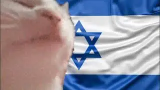 Шаббат шалом - shabbat shalom