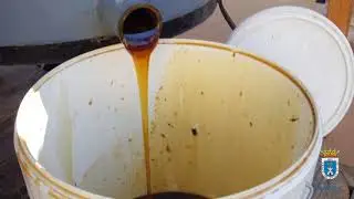 AYORA PRIMER CORTE DE LA MIEL 2017