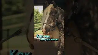 Как сделать видео ?