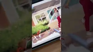 Passeando com os animais - desenho final!
