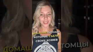 Домашни животные которые сьели своих хозяев #домашниеживотные