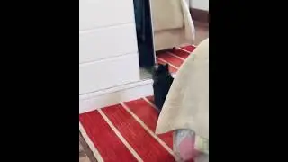 Выбор траектории))))