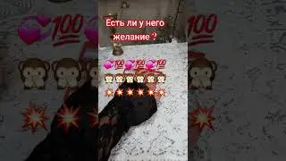 есть ли у него желание? 