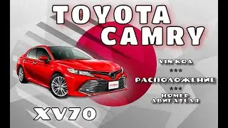 Где находится Vin и номер двигателя на Toyota Camry XV70. Мотор 2.0л (M20A), 2.5л (2AR), 3.5л (2GR).