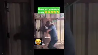 Немного позитива в ленту.🙂🙂🙂