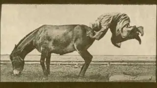 1886 Edward Muybridge - 