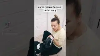 #юмор