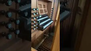 Cool organ