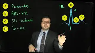 Cardiac cycle basics | The EKG Guy - www.ekgguy.com
