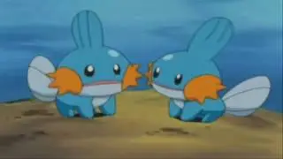 Know What Mudkip's saying?