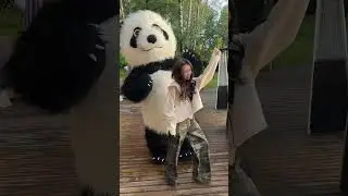 что происходит?  