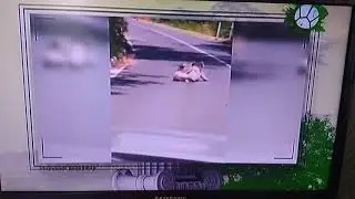 Сегодня в программе готовы тогда поехали