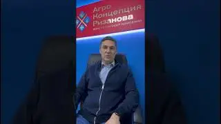 Повышение прибыльности пшеницы