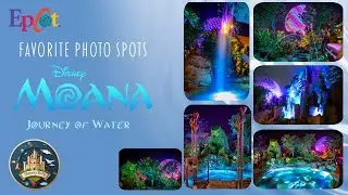 Disney's Moana Journey of Water Favorite Photo Spots | Epcot 2024 | Camera Tips