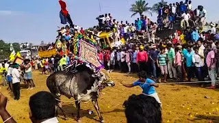 Bukkasagaram hori habba 2018 #Part_4 | Krishnagiri | Bull race | Atthu Thiruvizha | Jallikattu