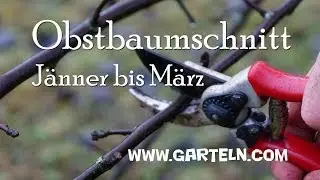 Obstbaumschnitt - Video mit Tipps