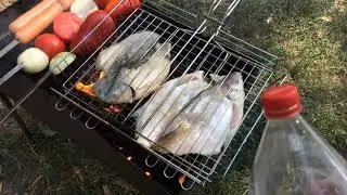 Пикник. Вкусная рыбалка