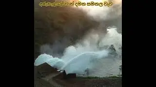 Morning site of Samanala wawa 😊 හිමිදිරියේ සමනල වැව 
