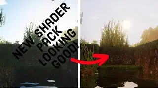 SEUS, Continuum, & New Arc Shader Comparison | Testing Out The New RTX 4080