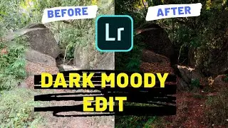 How to give Dark moody effect to any photos|Lightroom Mobile|Edits