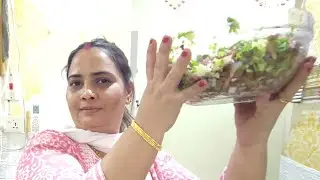 Chana Chaat 😋