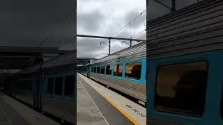 xpt