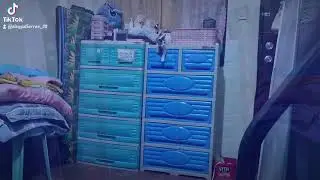 PAANO BUMABABA ANG PUSA//BELLA NAHULOG