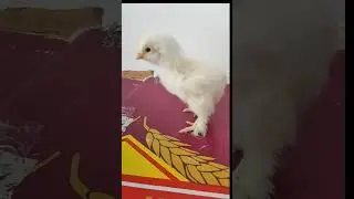 Gününüzün keyifli geçmesi dileğiyle