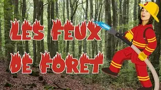 Pourquoi les forêts brûlent-elles?