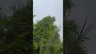 🌧️ 🌧️ 🌧️