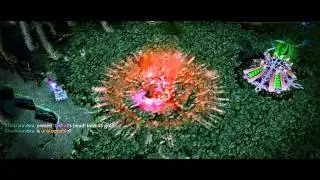 Dota- How to Name it.mp4