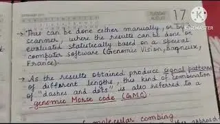 Molecular Combing