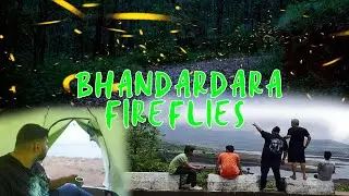 Bhandardara Fireflies Jugnu Festival & Camping road trip Waterfall Must visit after Lockdown 2021