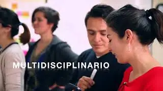 CORTO PLM ok