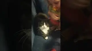Что бы не замерзнуть, делай так!)