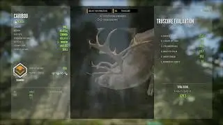 Epic Caribou Hunt on Yukon!