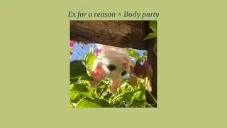 Ex for a reason x Body party - City Girls (sped up)