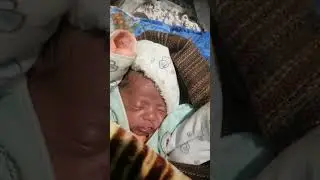amr MA er gum vagche akon kanna start korbe