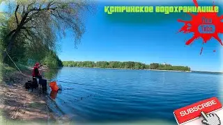 Истринское Водохранилище, д. Пятница. Как ловить рыбу на поплавок? Чемпионат Московской области ))