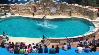 Sixflags México Delfines 1